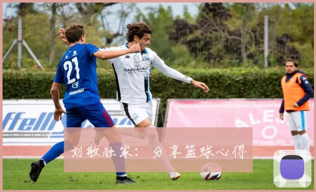 刘敏独家：分享篮球心得