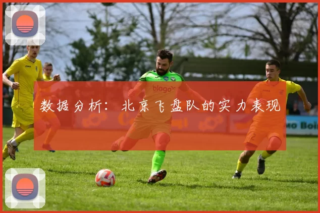 数据分析：北京飞盘队的实力表现