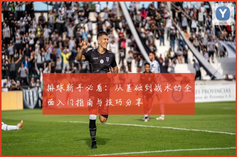排球新手必看：从基础到战术的全面入门指南与技巧分享