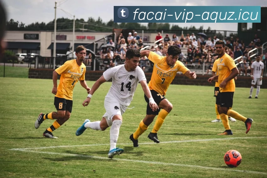 星空体育发展历程